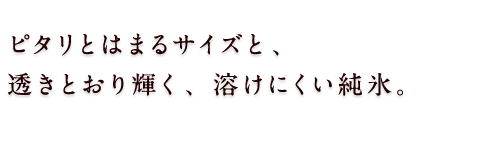 存在感ある、佇まい。