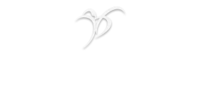  Bar Little Bird