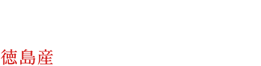 徳島出身